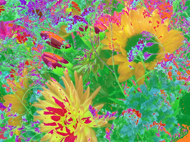 Garish Flowers