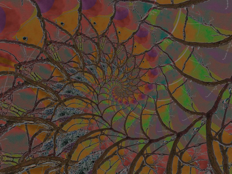 Liquib Colorful Spiraled Branches Droste