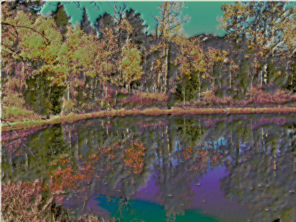 Liquib Shined Aspens